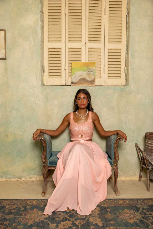 Woman in a pink dress sitting on an ornate chair in a room with a cat painting on the wall. Clep